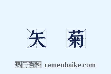 矢車菊是什么意思的图片